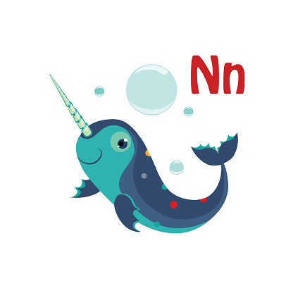 Cute Narwhal Clipart Pictures