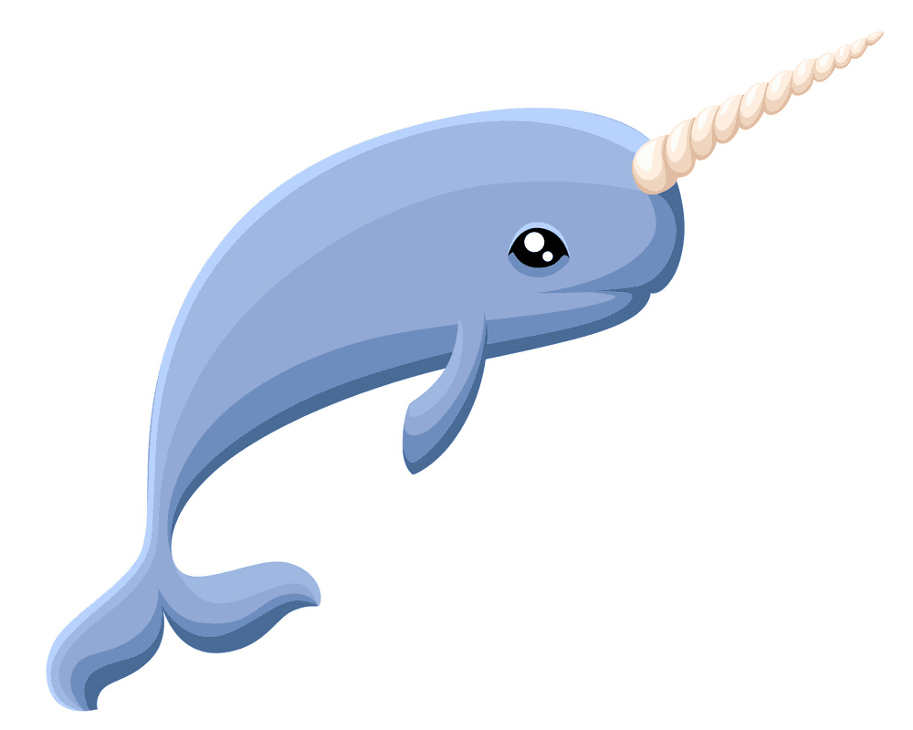 Cute Narwhal Clipart Png Picture