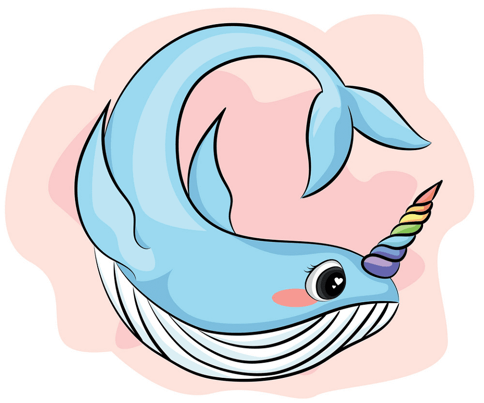 Cute Narwhal Clipart Png Pictures