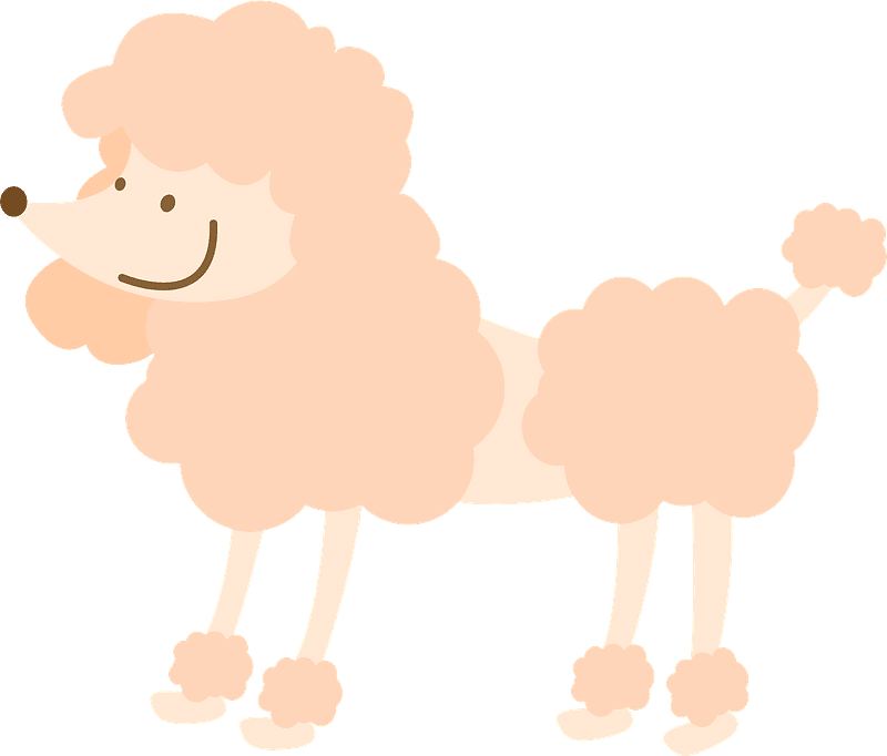 Cute Poodle Clipart Transparent Background