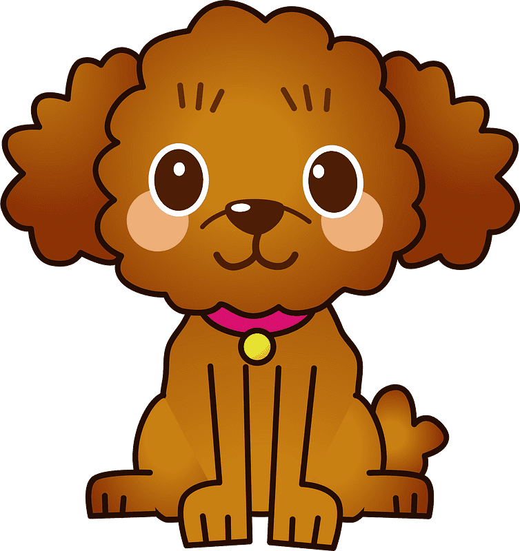 Cute Poodle Clipart Transparent