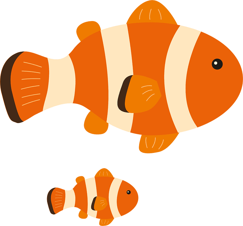 Download Clownfish Clipart Transparent Background