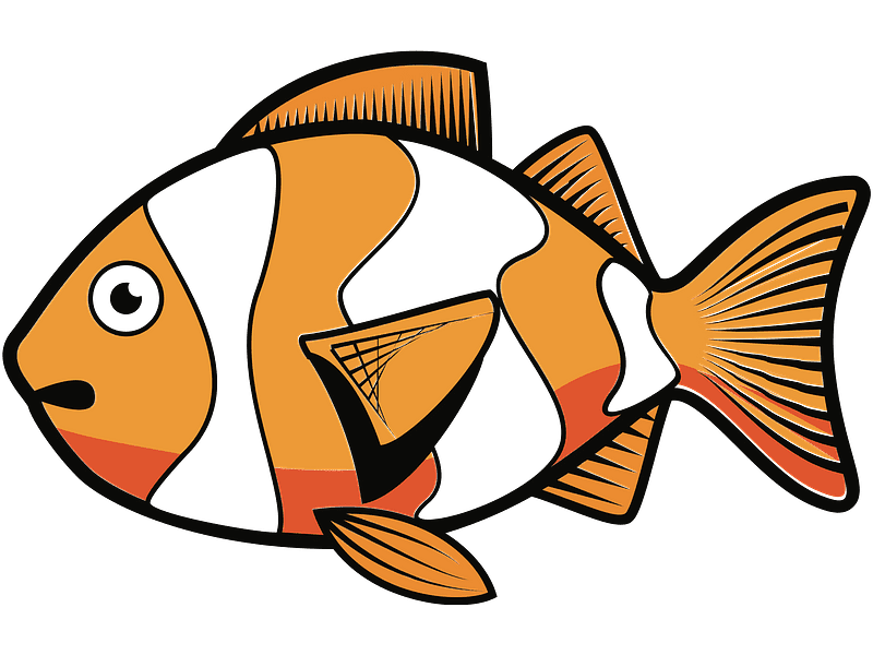 Download Clownfish Clipart Transparent