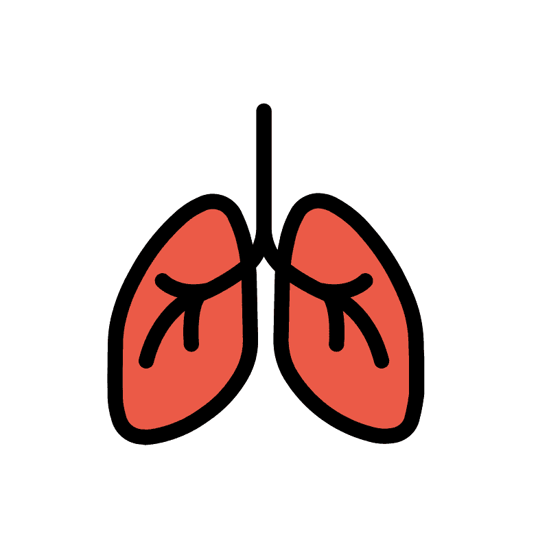 Download Lungs Transparent Clipart