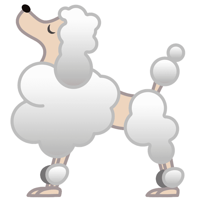 Download Poodle Transparent Clipart