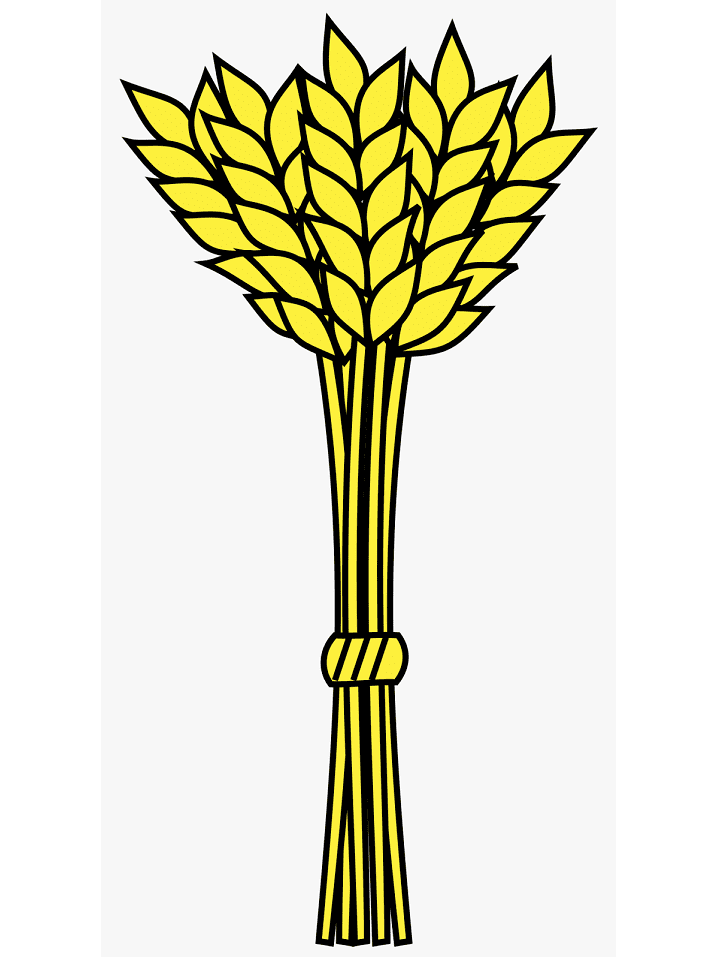 Download Wheat Clipart