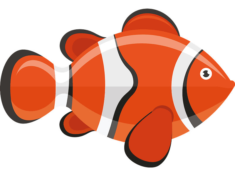 Free Clownfish Clipart Transparent Background