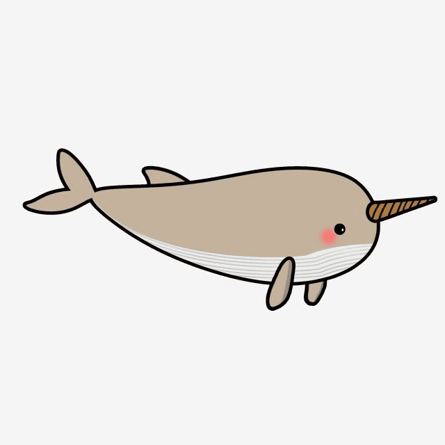 Free Narwhal Clipart Download