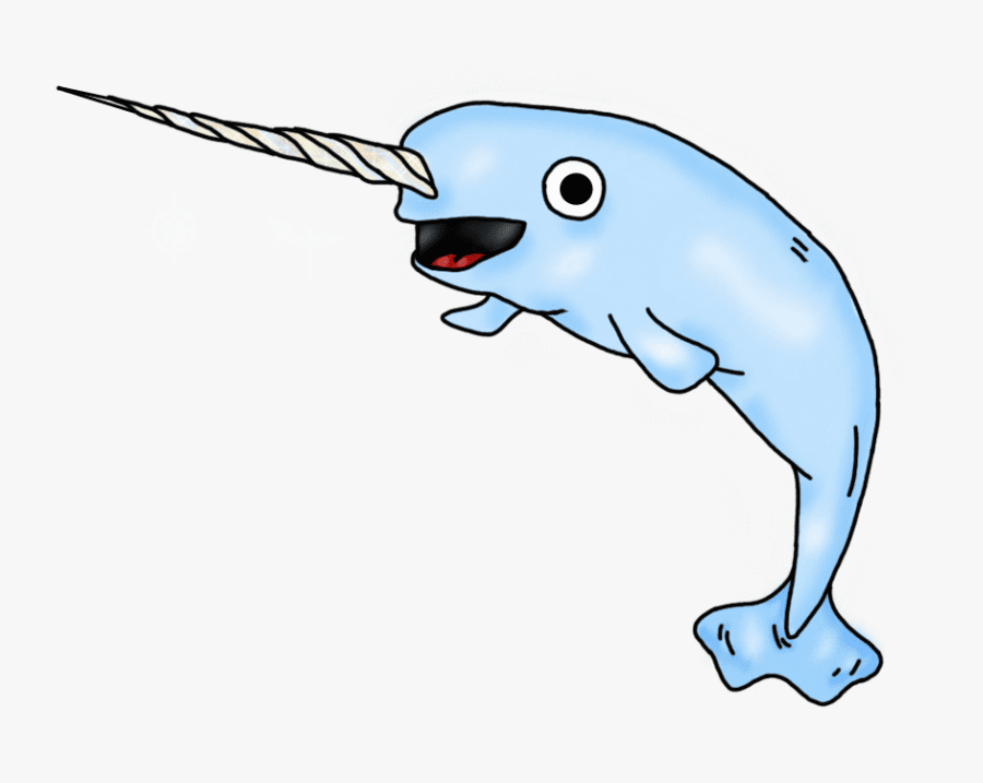 Free Narwhal Clipart Picture