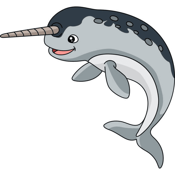 Free Narwhal Clipart Png
