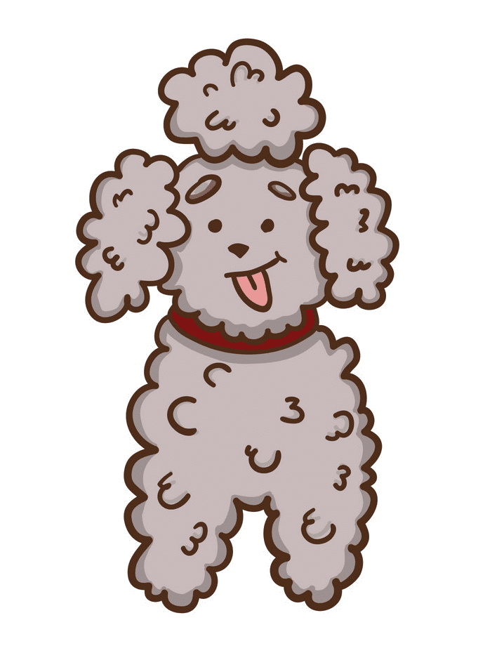 Free Poodle Clipart Download