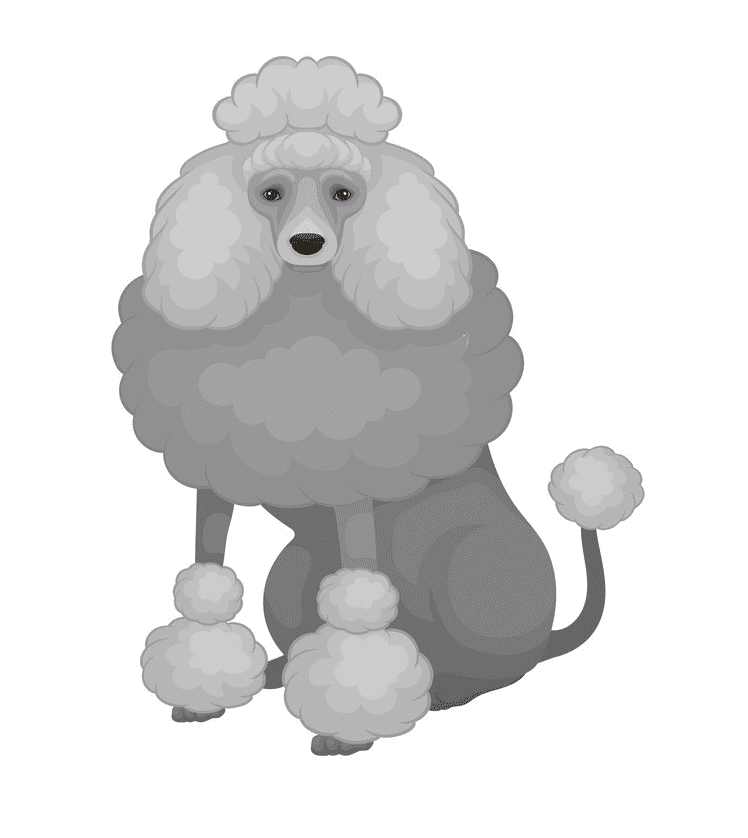 Free Poodle Clipart Image