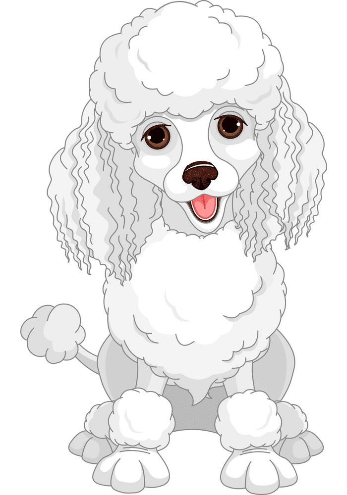 Free Poodle Clipart Picture