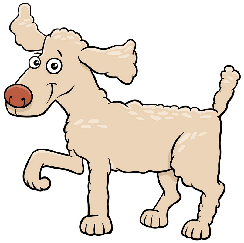 Free Poodle Clipart Png