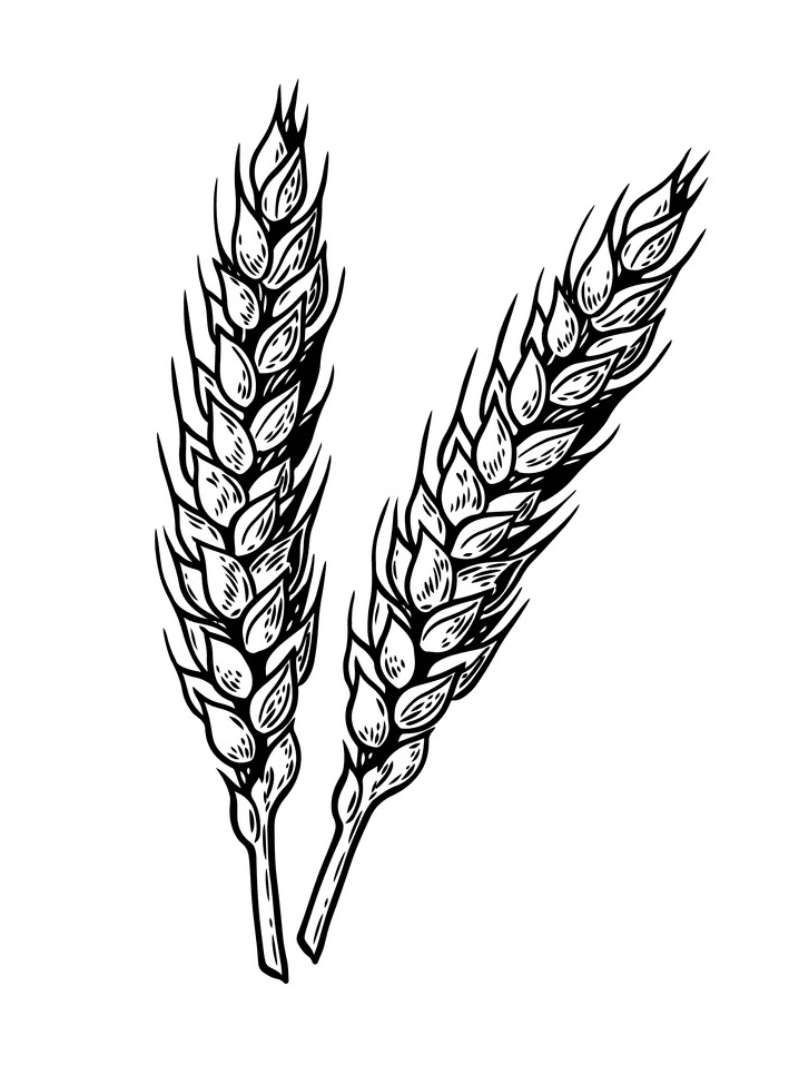 Free Wheat Black and White Clipart