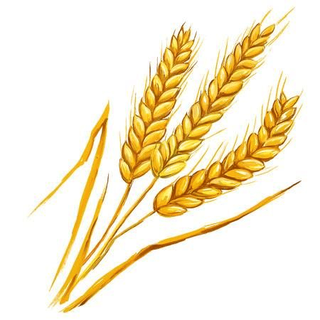 Free Wheat Clipart Download