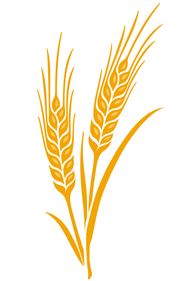 Free Wheat Clipart Image