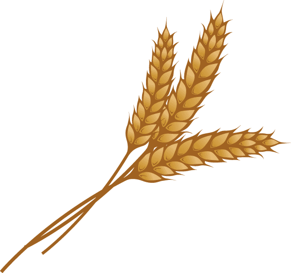 Free Wheat Clipart Picture