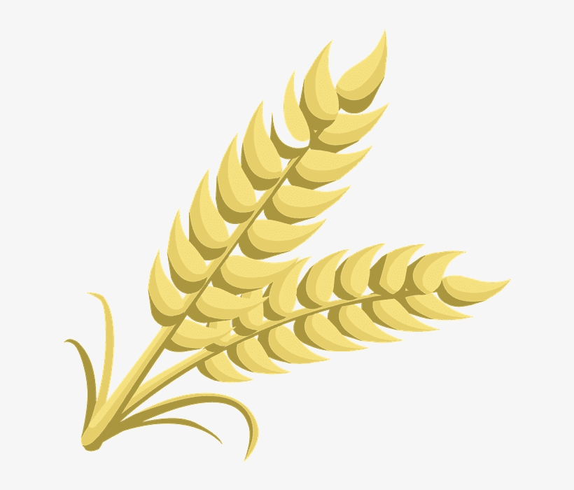 Free Wheat Clipart Pictures