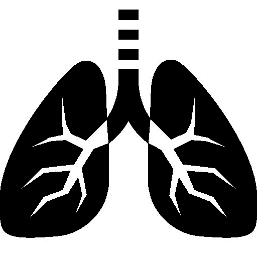 Lungs Black and White Clipart Png