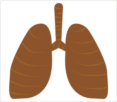 Lungs Clipart For Free