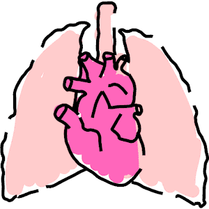 Lungs Clipart Picture