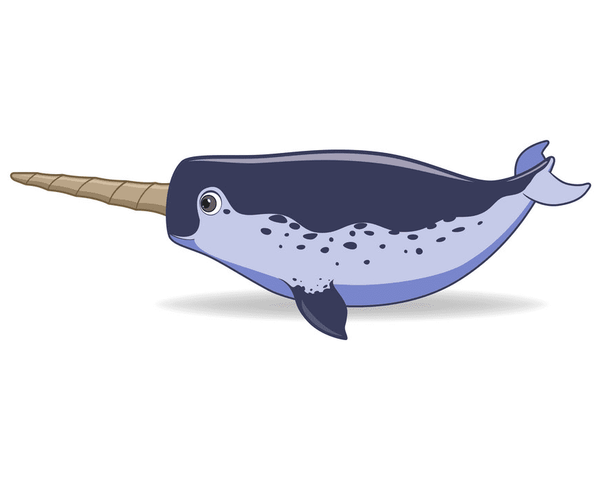 Narwhal Clipart Free Download