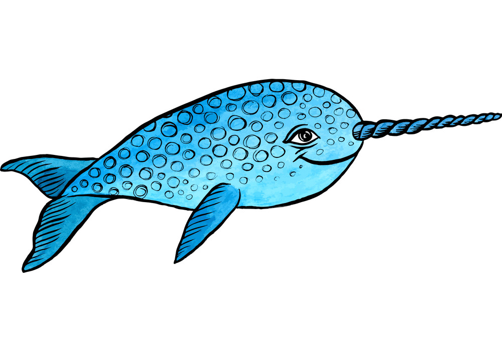 Narwhal Clipart Free Image