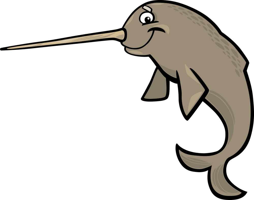 Narwhal Clipart Free Png Images