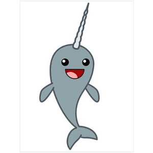 Narwhal Clipart Image