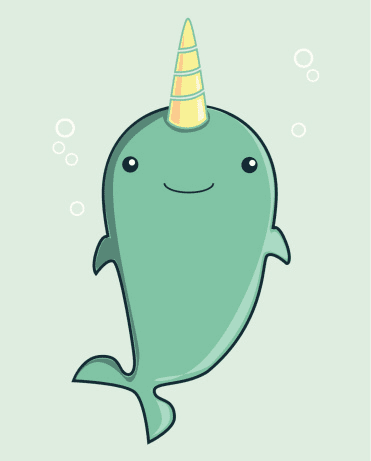 Narwhal Clipart Images