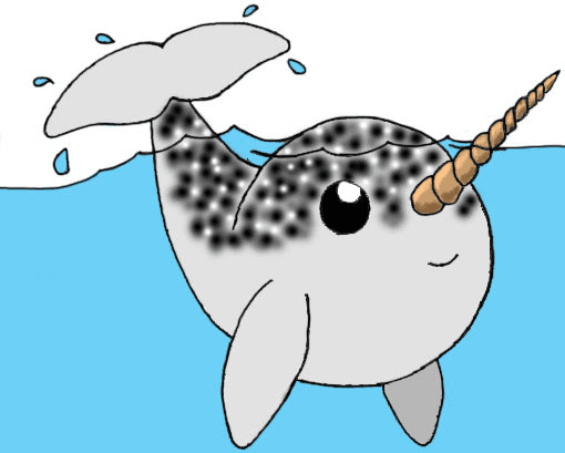 Narwhal Clipart Pictures