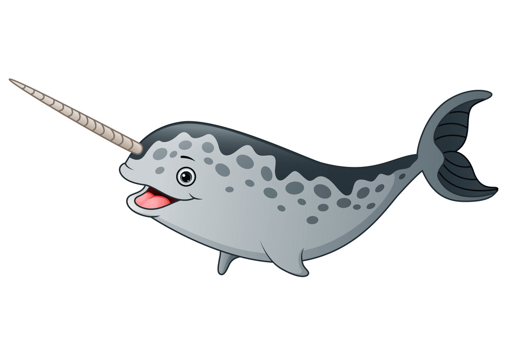 Narwhal Clipart Png Download