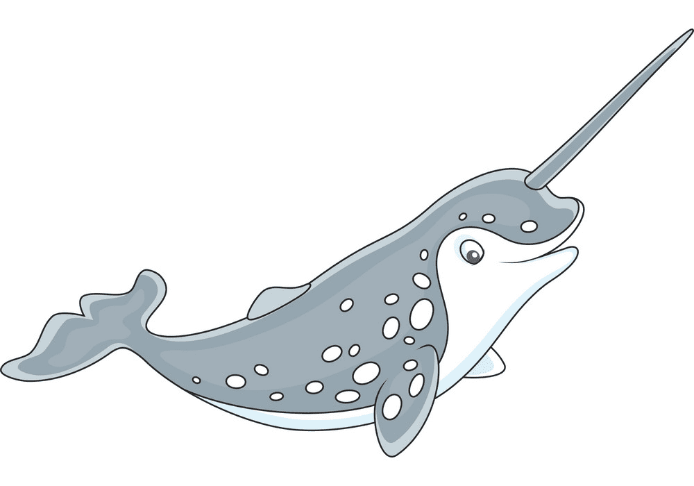 Narwhal Clipart Png For Free