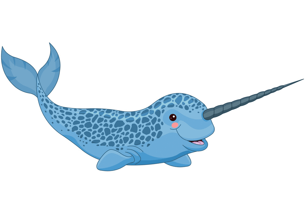 Narwhal Clipart Png Free