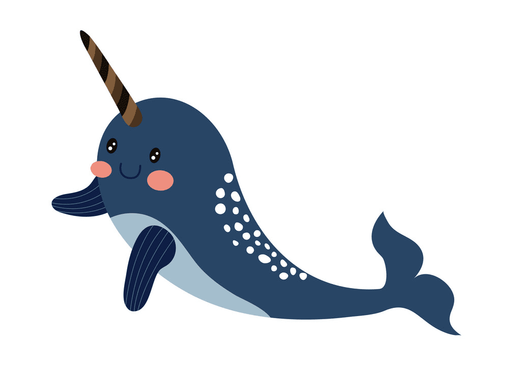 Narwhal Clipart Png Picture