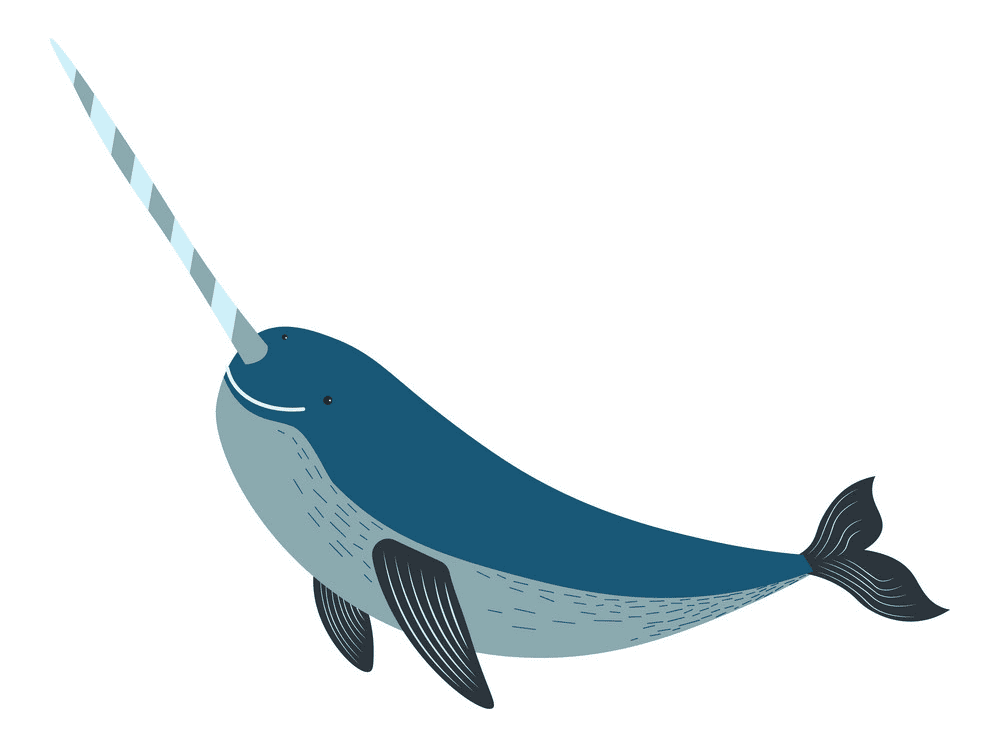 Narwhal Clipart Png Pictures