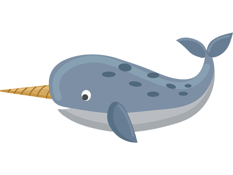 Narwhal Clipart Transparent Background