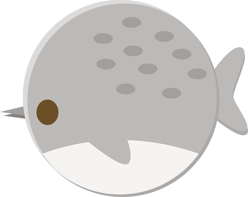Narwhal Clipart Transparent Images