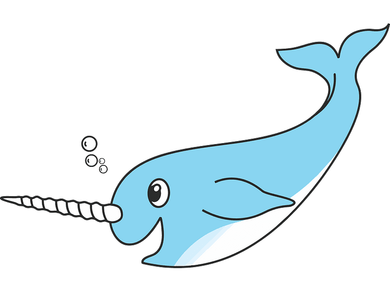 Narwhal Clipart Transparent Png