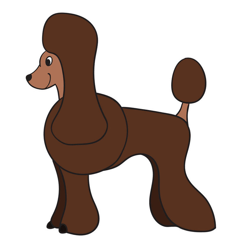 Poodle Clipart Free Picture