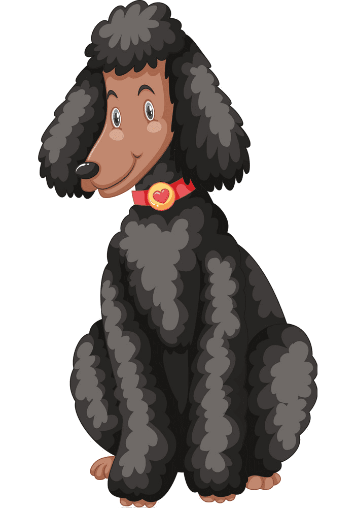 Poodle Clipart Free Png Image