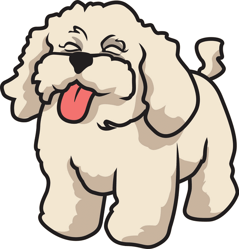 Poodle Clipart Free Png Images