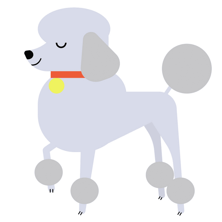 Poodle Clipart Png For Free