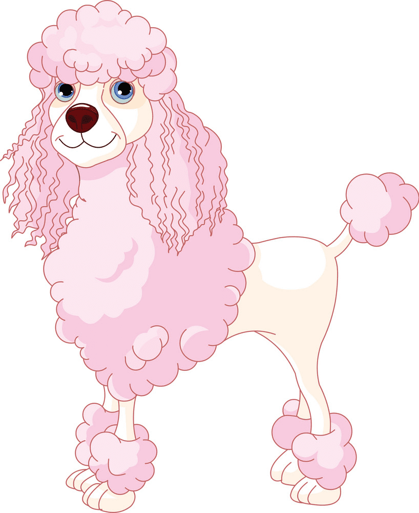 Poodle Clipart Png Pictures