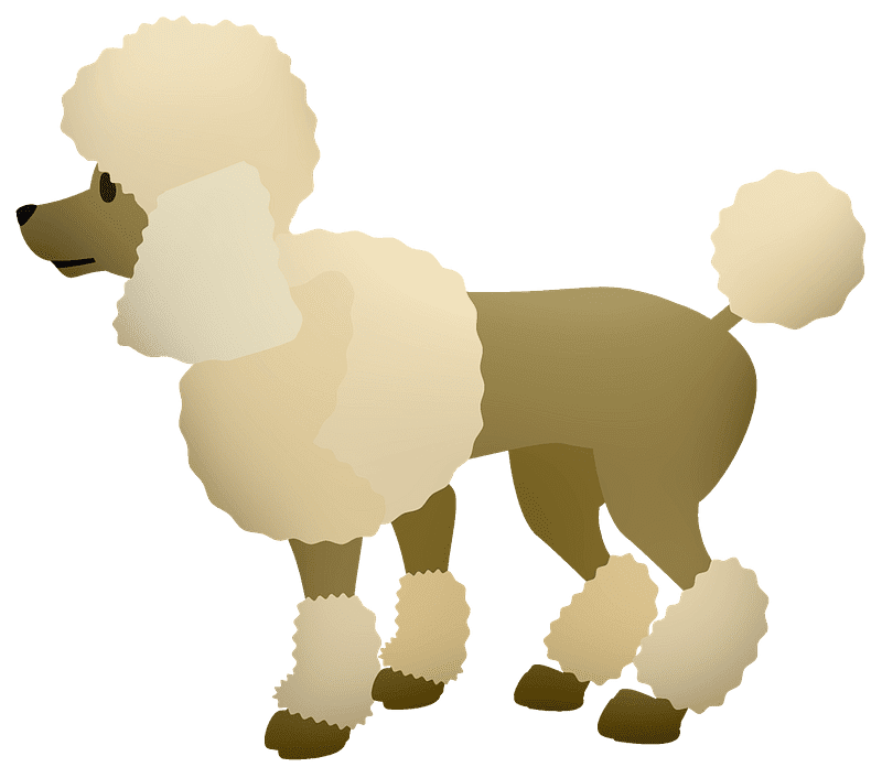 Poodle Clipart Transparent Png