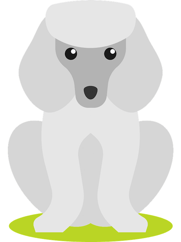 Poodle Clipart Transparent