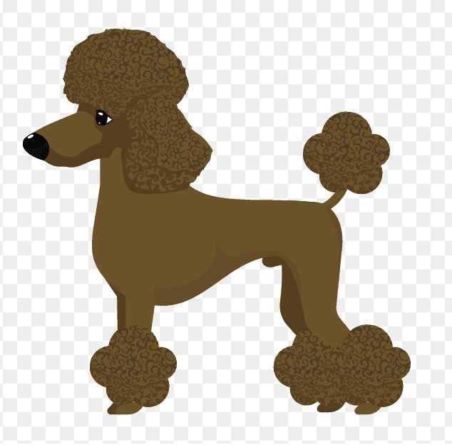 Poodle Dog Clipart Image
