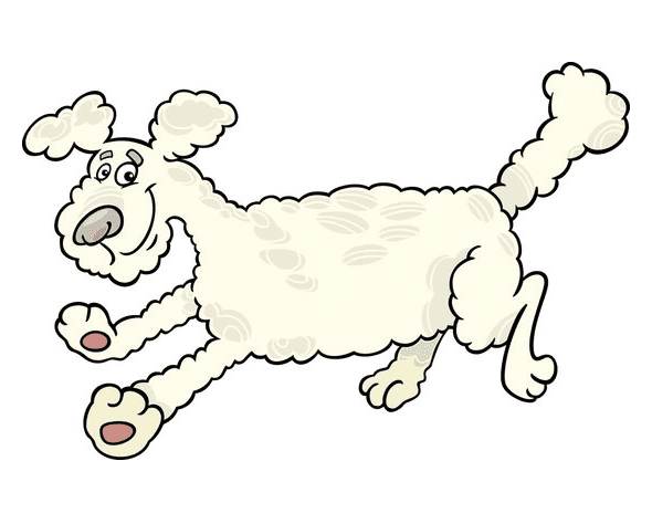 Poodle Dog Clipart Picture