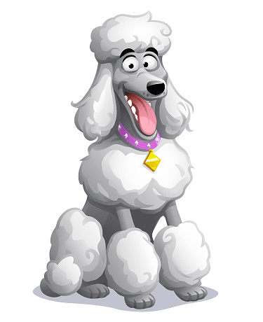 Poodle Dog Clipart Png Picture